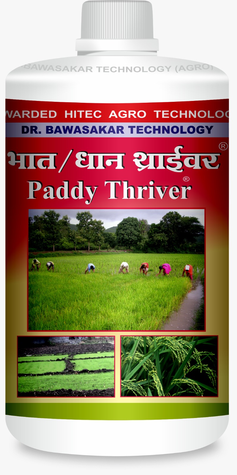 Paddy Thriver